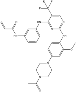 Rociletinib (CO-1686, AVL-301, CNX-419) 1374640-70-6